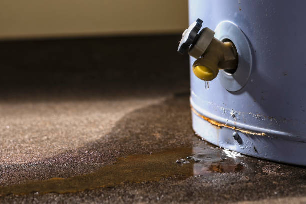 Best 24-hour water damage restoration  in Linden, CA