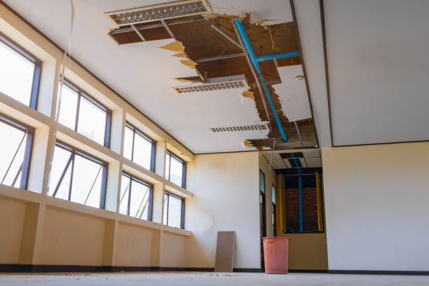 Best Water damage restoration company  in Linden, CA