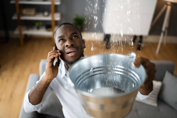 Best Water damage restoration company  in Linden, CA