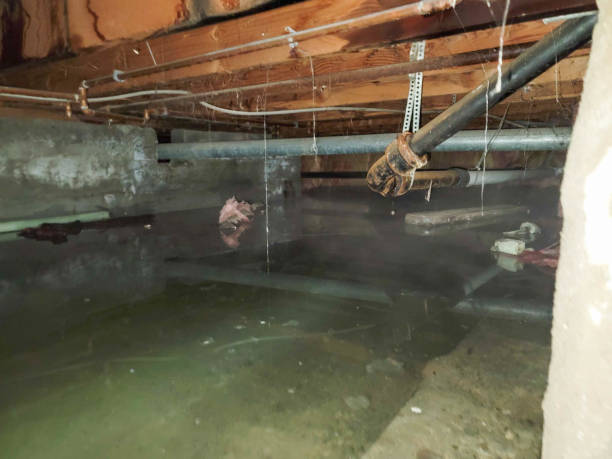 Best Water damage contractors near me  in Linden, CA