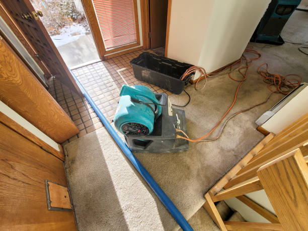  Linden, CA Water damage restoration Pros