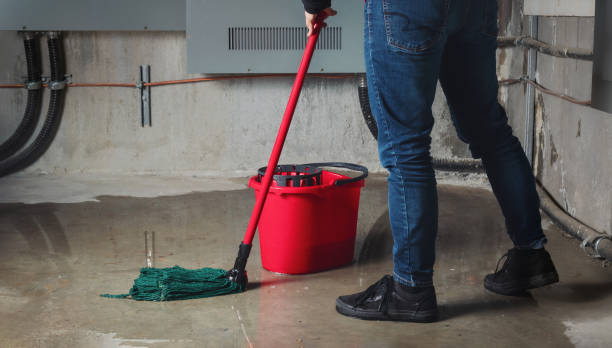 Best Carpet water damage restoration  in Linden, CA
