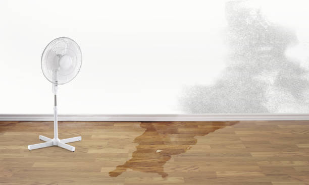 Best Flood damage cleanup  in Linden, CA