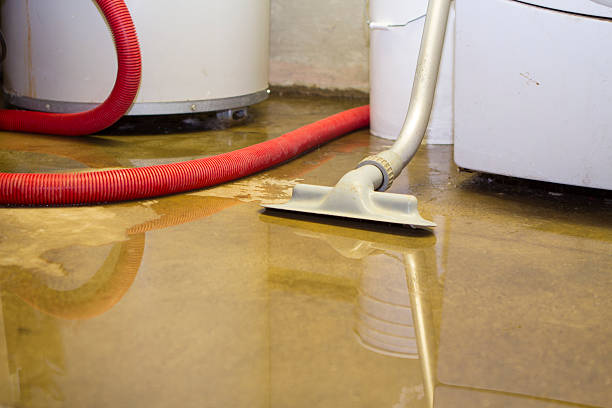 Best Mold removal after water damage  in Linden, CA