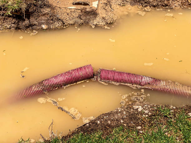 Best 24/7 water damage repair  in Linden, CA