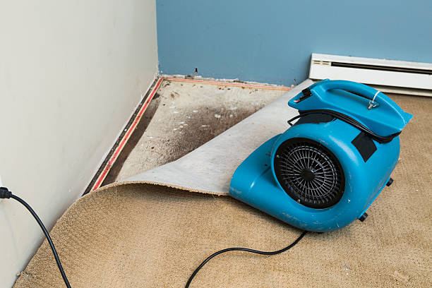 Best Water damage cleanup near me  in Linden, CA